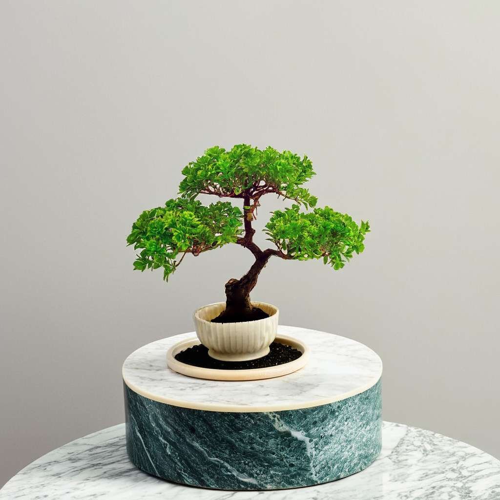 Artificial Red and Green for Home Decorarion Tree with Pot for Home Center Livingroom Table Shelf Entrance Office (Pack Of 2) (RV-AP13) - Image 3